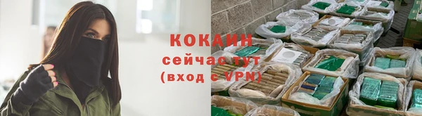 амф Заволжск