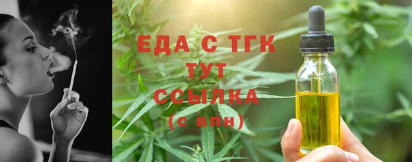 не бодяженный Заводоуковск