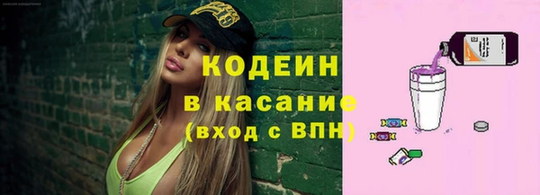не бодяженный Заводоуковск