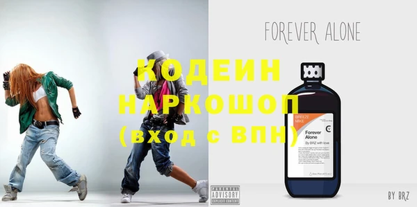 не бодяженный Заводоуковск